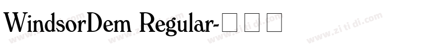 WindsorDem Regular字体转换